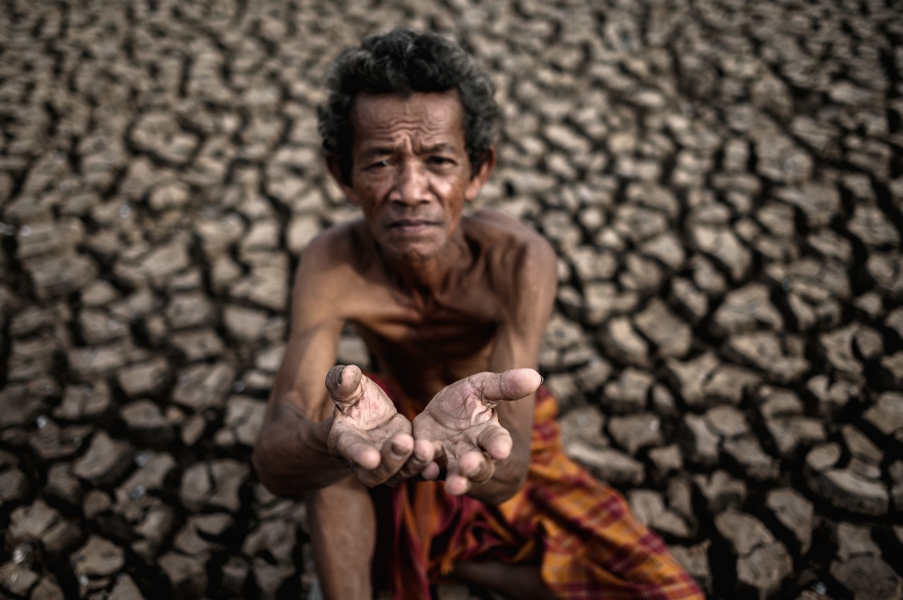 Burned Areas in Indonesia, Which Is Expected in 2025