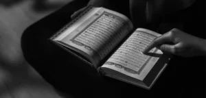 USA Premier Online Quran Academy
